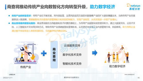 透視用戶需求深挖服務潛力 2022中國商業(yè)查詢行業(yè)洞察